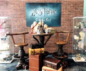 Harry Potter Jewelry Display