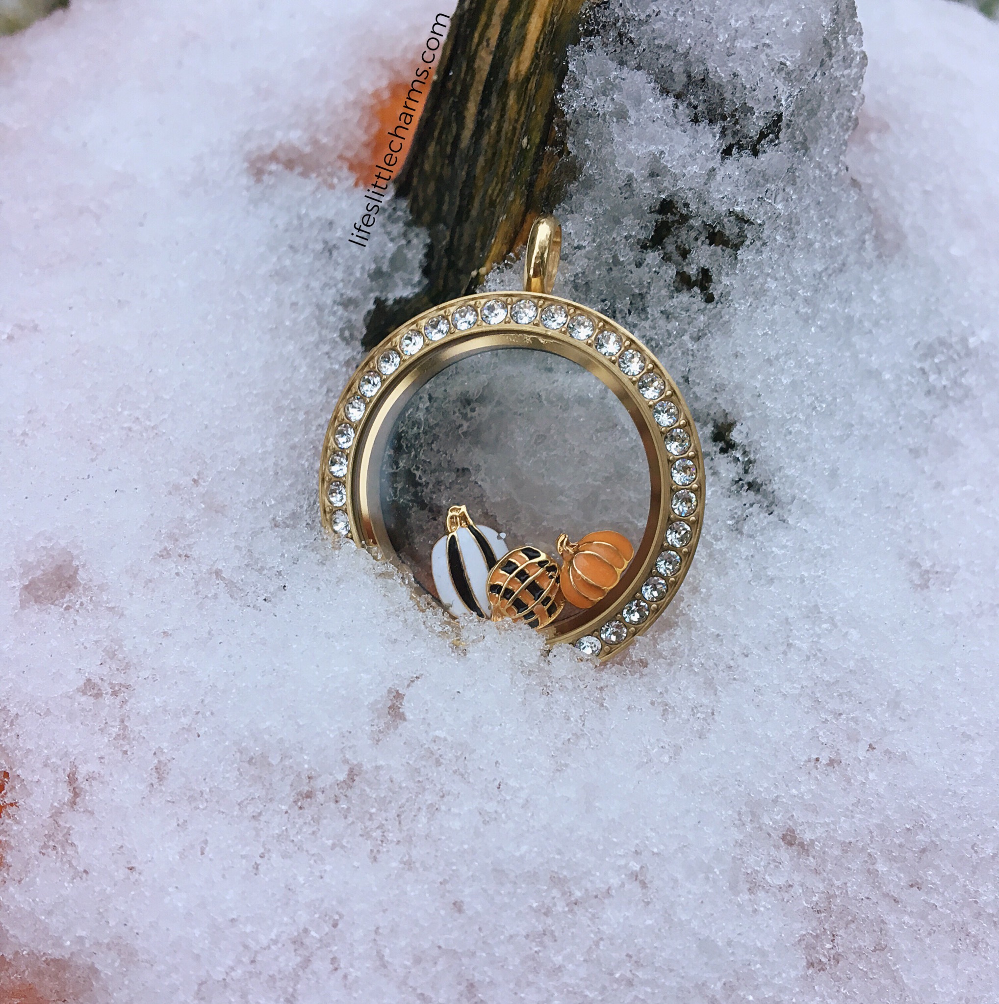 Pumpkin Locket in the snow