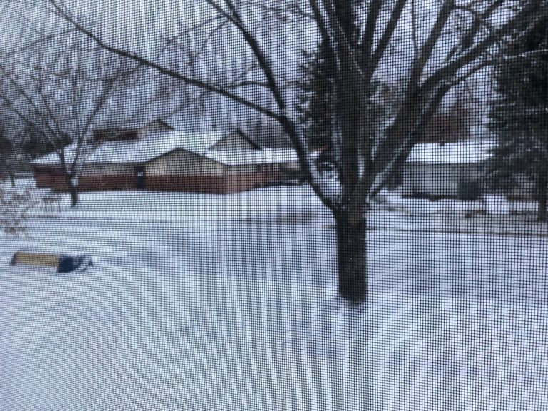 Snow outside a screened window