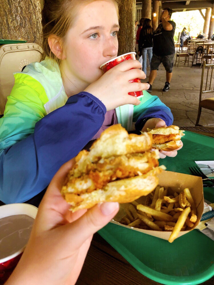 Honey Spiced Chicken Sandwich from Hungry Bear Restaurant, Disneyland 